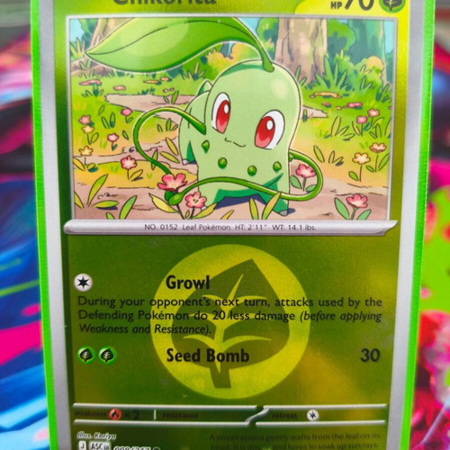 Pokémon TCG Chikorita (ASC 008) Reverse Holo like new