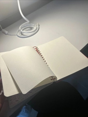 Brown Line Friends notebook new