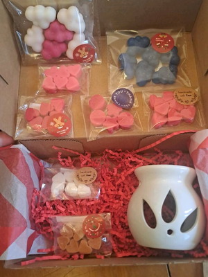 Πακέτο Wax Melts 50 τεμ. με αρωματιστή και 8 σακουλάκια, καινούργιο