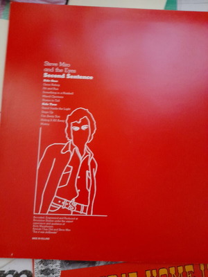 Steve Miro and the Eyes Second Sentence vinyl record used, rock