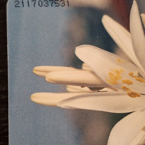 Spring Phone Card 2117 used, 1996 edition
