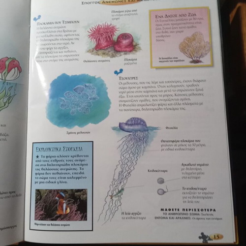 Sea Animals children's encyclopedia like new