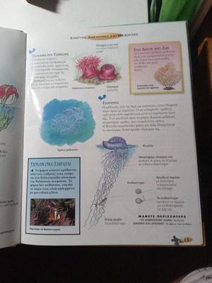 Sea Animals children's encyclopedia like new