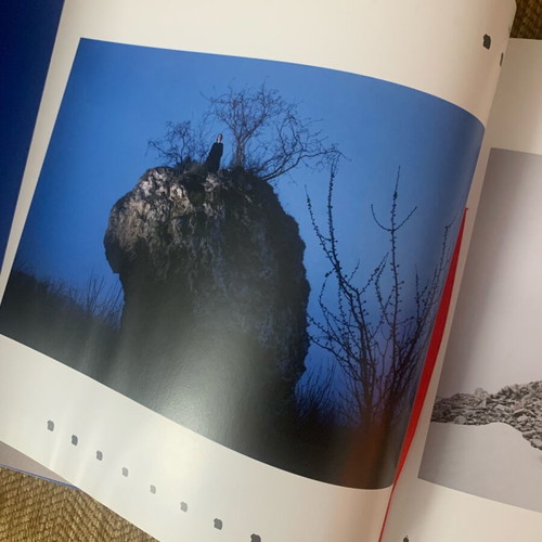 Wonderwood The Forest of Wonders new photographic fairy tale rare edition