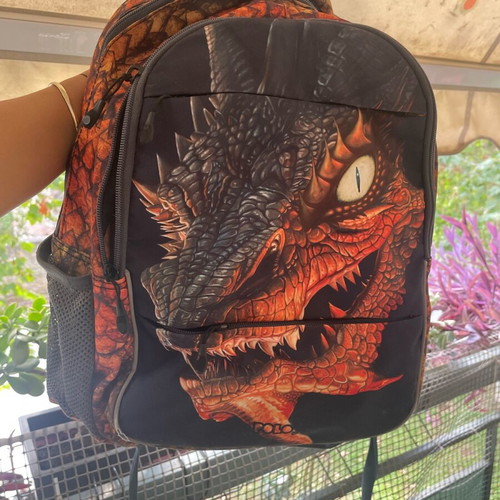 Polo school backpack like new with two large and two small compartments
