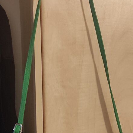 Shoulder bag crossbody green like new