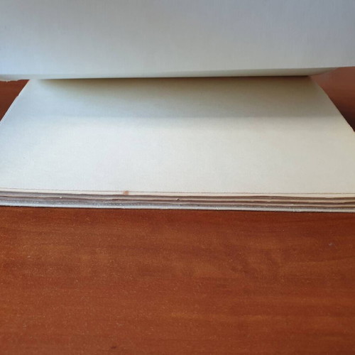 En Ora Nychtos poetry book used, signed by Bianca Romaio