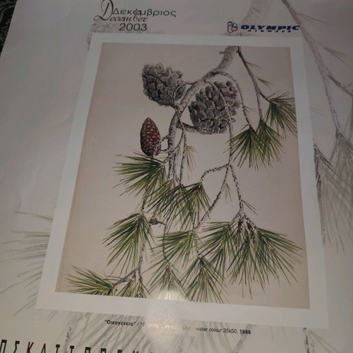 Olympic Airways 2003 collectible wall calendar used, Nature Colours