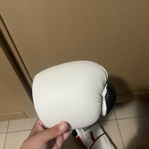 Kickboxing gloves 10oz like new