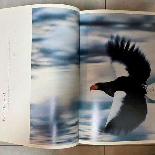 Nature photographic book by Olivier Grunewald like new