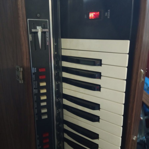 The New Tiger 49 Eko vintage harmonium