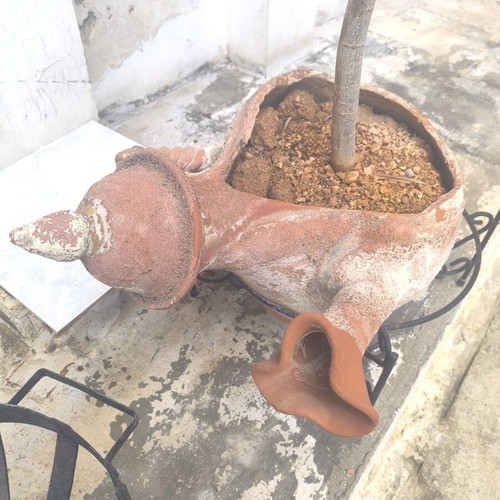 Decorative amphora or askos vase used, terracotta planter