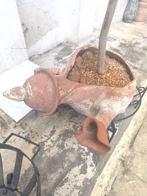 Decorative amphora or askos vase used, terracotta planter