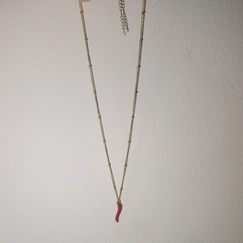 Necklace with red chili pepper pendant new