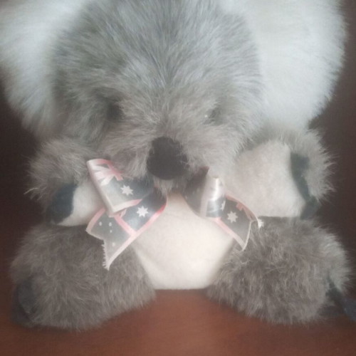 Plush koala used with bow Australia