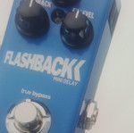 Flashback Mini Delay Pedal TC Electronic new