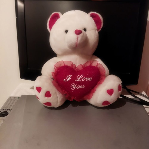 Plush teddy bear with heart