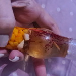 Candle new