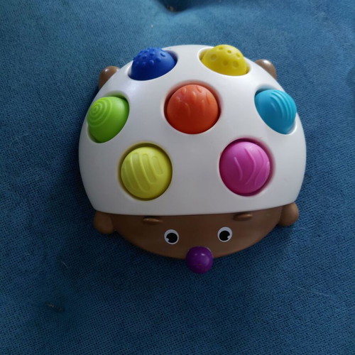 Baby Hedgehog Toy like new for 6+ months