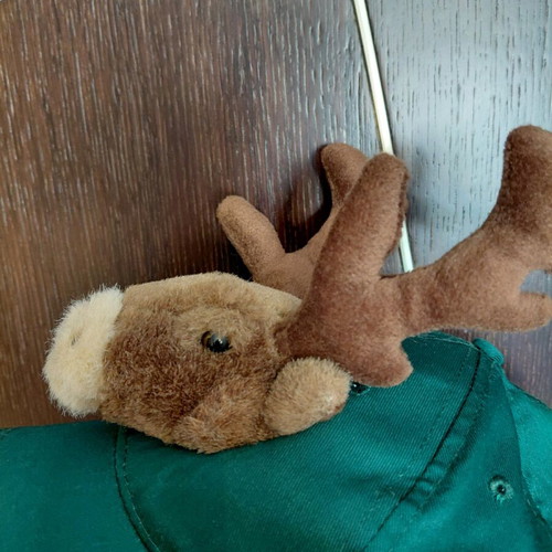 Christmas hat with reindeer