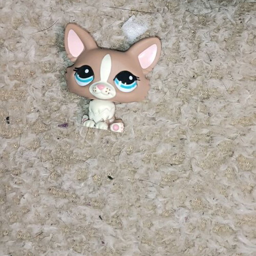 Littlest Pet Shop (LPS) Welsh Corgi dog like new #1864