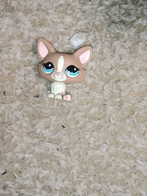 Littlest Pet Shop (LPS) Welsh Corgi dog like new #1864