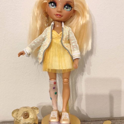 Rainbow High doll like new with pet, comb, and stand