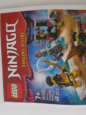 LEGO 30700 Arin vs. Dragonian Battle set