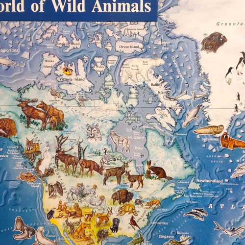 The World of Wild Animals Educational Poster like new, wooden frame