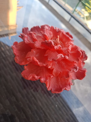 Red scented candle in flower shape like new
