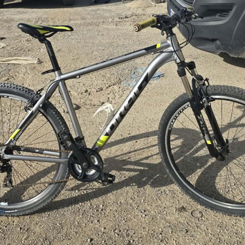 Drag ZX2 mountain bike, 29 inch wheels, silver