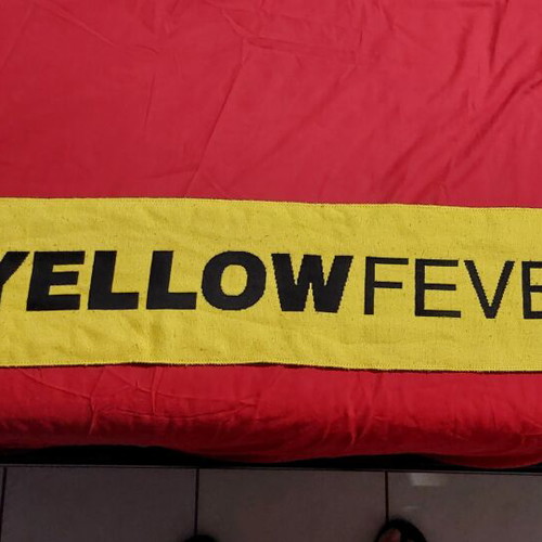 AEK Scarf like new, authentic