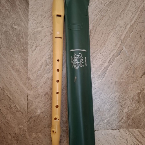 Hohner Melody plastic soprano recorder model 9508 with case