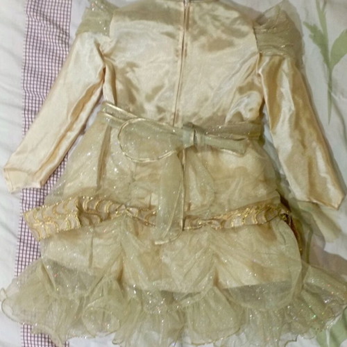 Golden princess carnival costume like new
