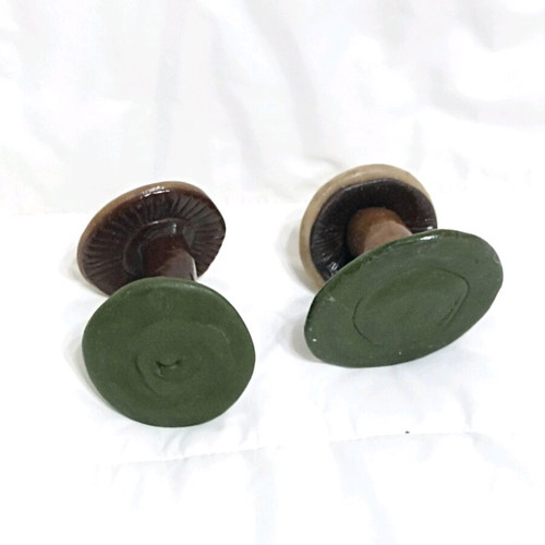 Handmade mushroom decor from polymer clay Fimo