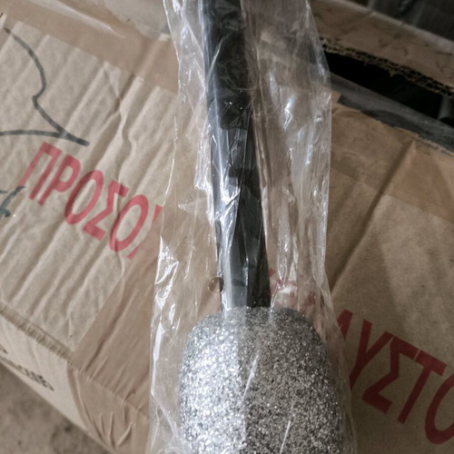 Carnival microphone new