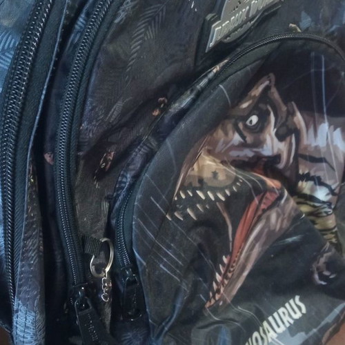 School bag used with Tyrannosaurus Rex dinosaur design