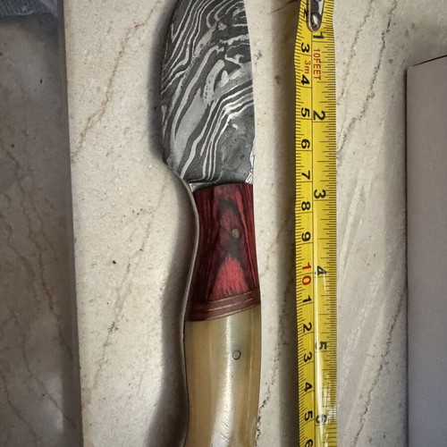 Handmade Skinner Knife Damascus Steel with Horn and Wood Handle