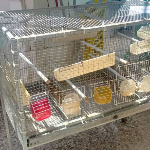 Large bird cage like new with 6 external feeders and 4 waterers