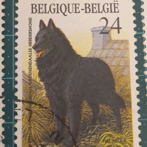 Belgium stamps 1986 like new, dog breeds