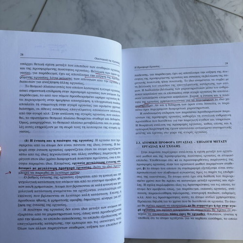 Economics of Labor by Theodoros P. Lianos and Anna Ntaouli-Dtemousi