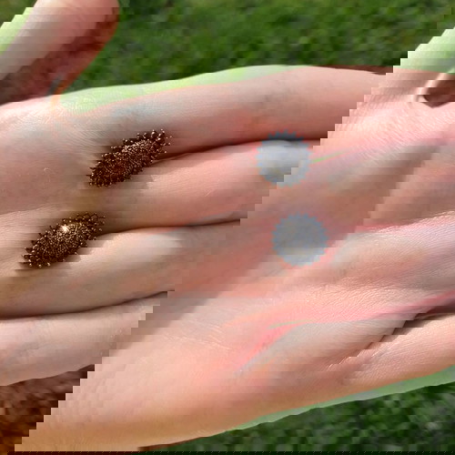 Σκουλαρίκια Μαύρα Καρφωτά Ασήμι 925 με Ζιργκόν Νέα