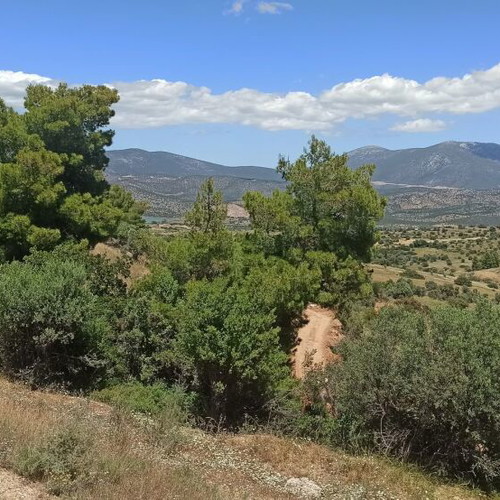 Buildable land plot 33,000 m² in Peloponnese with panoramic view