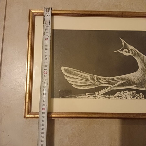 Vintage decorative framed art with classic bird theme, like new
