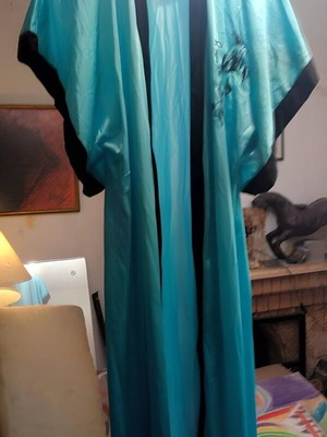 Roberta Lingerie Turquoise Sheer Robe used, one size large