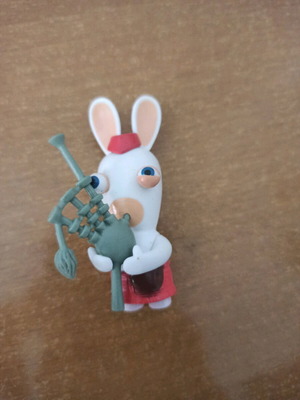 Rabbit Invasion new