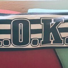 PAOK Scarf new