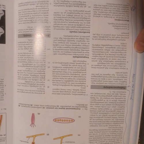 Bacteriology, Mycology and Parasitology like new