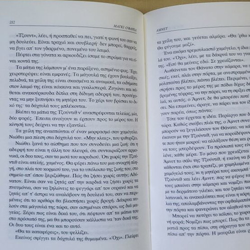 Amnet by Maggie O'Farrell used