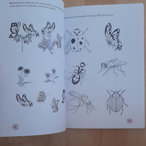 Workbook with interdisciplinary exercises, volume 3, Spring Summer